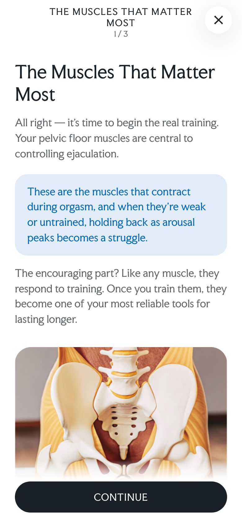 Lesson explaining the pelvic floor